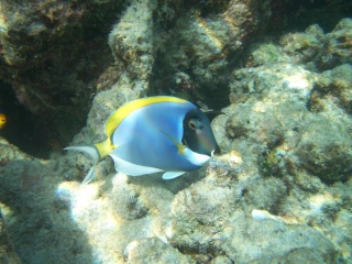 imgp1861